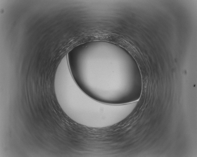 X0000084531298200702230828
