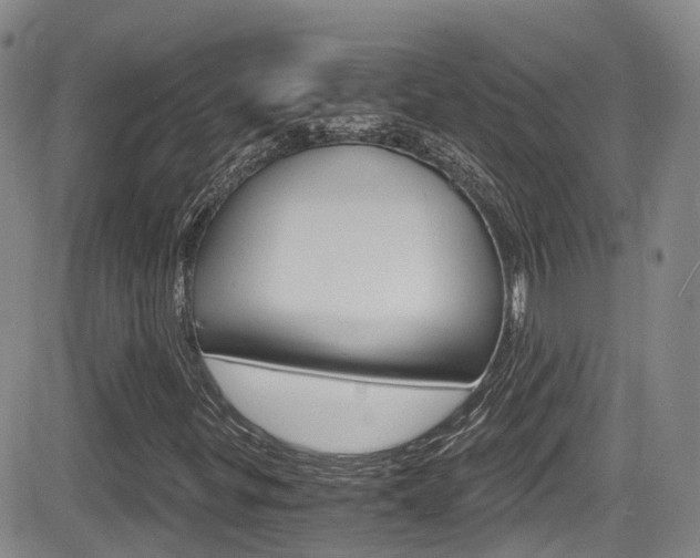 X0000084531299200702230828