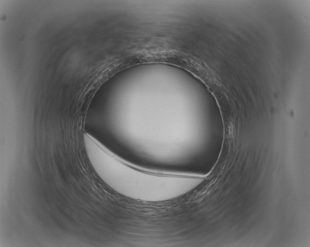 X0000084531300200702230828