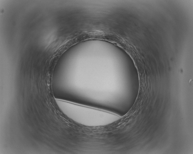 X0000084531301200702230828