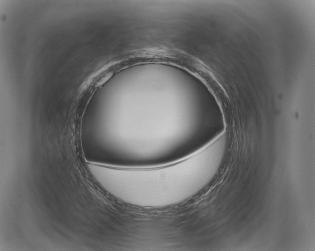 X0000084531304200702230828