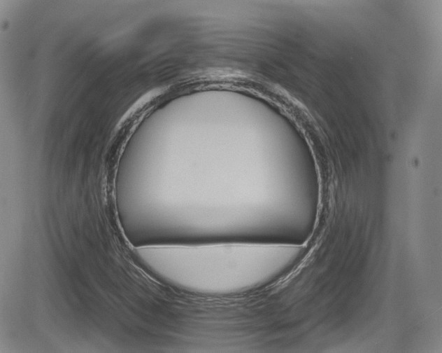 X0000084531306200702230828