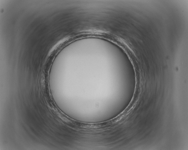 X0000084531307200702230828