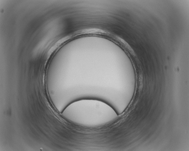 X0000084531322200702230828