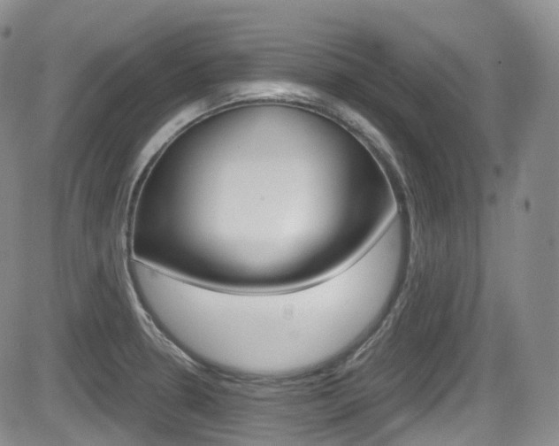 X0000084531330200702230828