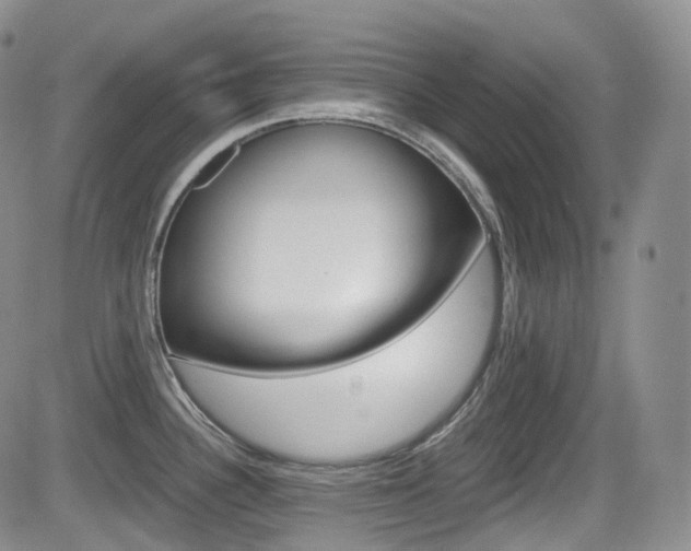 X0000084531340200702230828