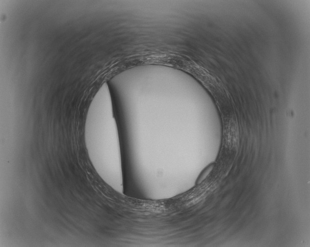 X0000084531346200702230828