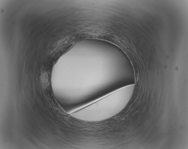 X0000084531347200702230828