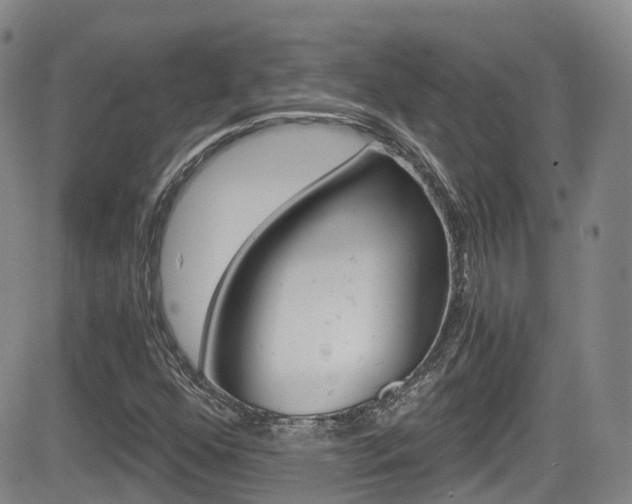 X0000084531352200702230827