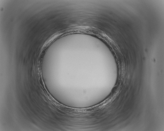 X0000084531354200702230827