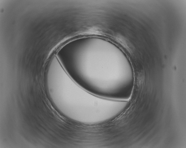 X0000084531356200702230827