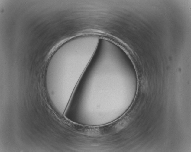 X0000084531363200702230827