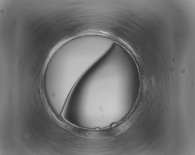 X0000084531371200702230827