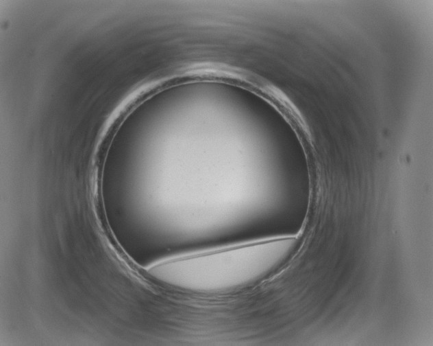 X0000084531376200702230827