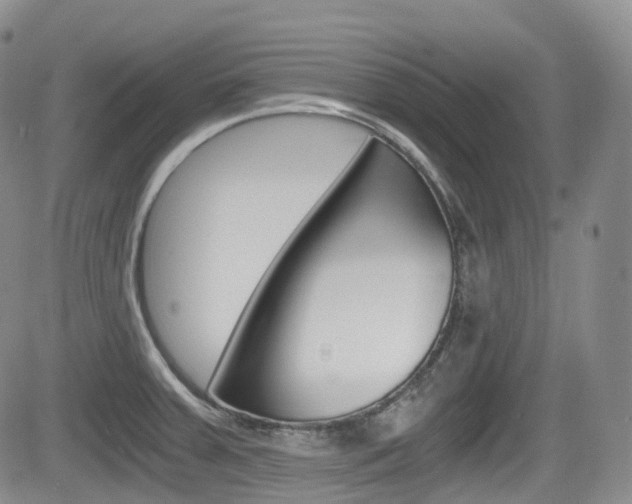 X0000084531379200702230827