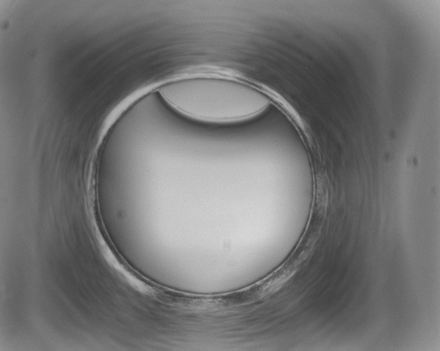 X0000084531387200702230827