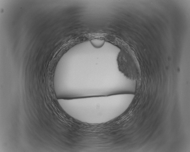 X0000084531393200702230826