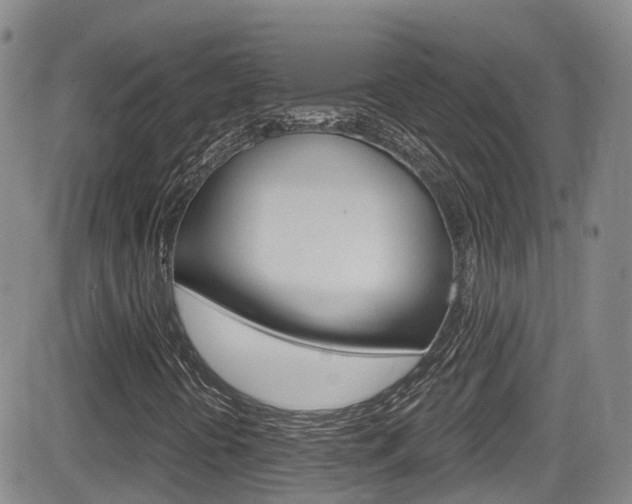 X0000084531394200702230826
