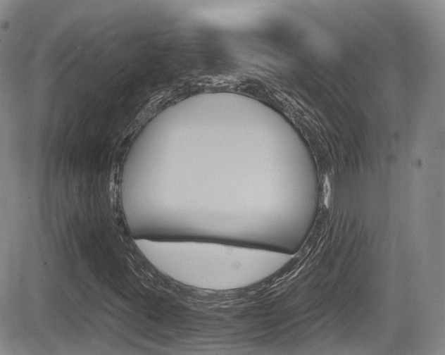 X0000084531395200702230826