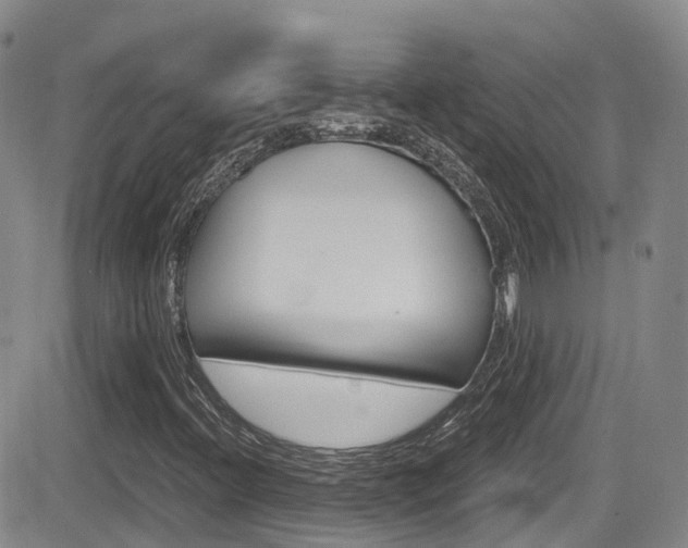 X0000084531396200702230826