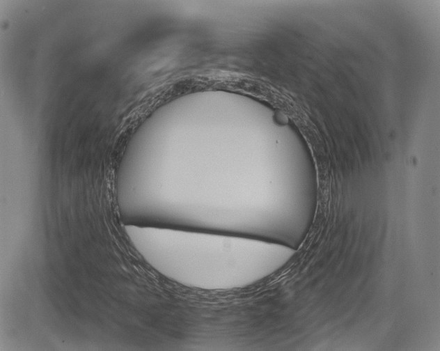 X0000084531397200702230826