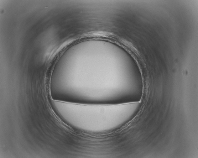 X0000084531404200702230826