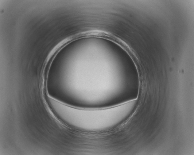 X0000084531418200702230826