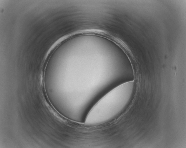X0000084531420200702230826