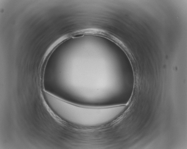 X0000084531426200702230827