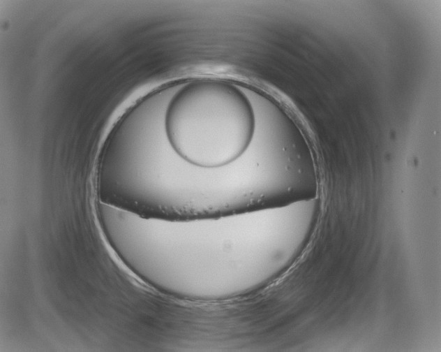 X0000084531432200702230827