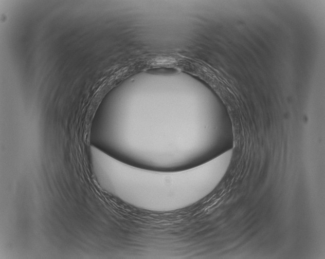 X0000084531441200702230826