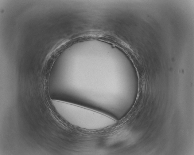 X0000084531448200702230826