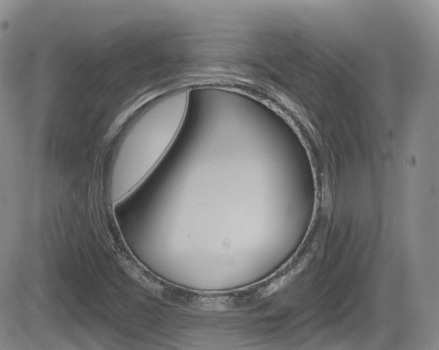 X0000084531453200702230826