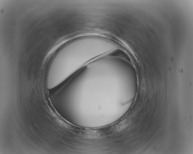 X0000084531456200702230826