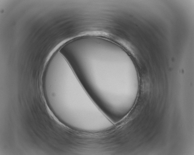 X0000084531468200702230826