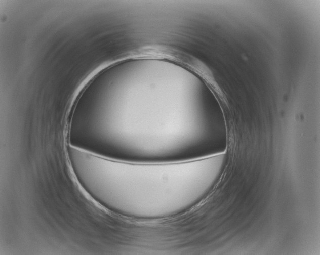 X0000084531484200702230825