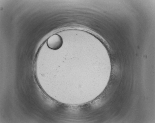 X0000084531514200702230825