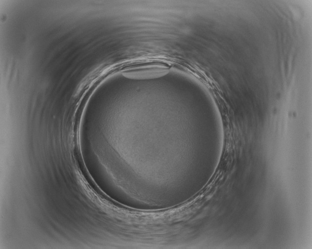 X0000084530002200702231213
