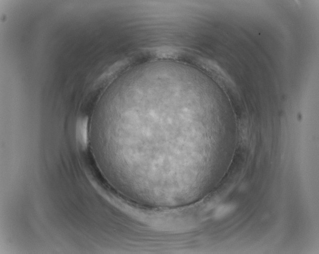 X0000084530028200702231213