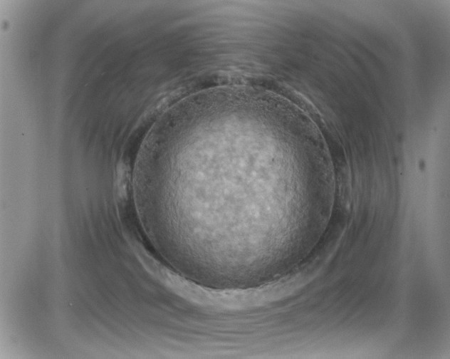 X0000084530038200702231212