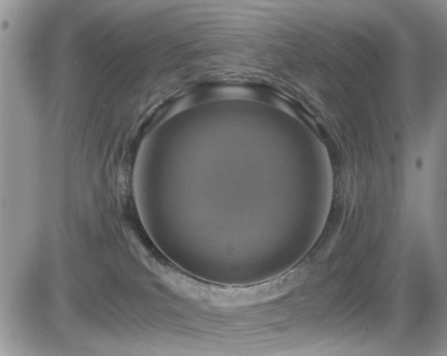 X0000084530039200702231212