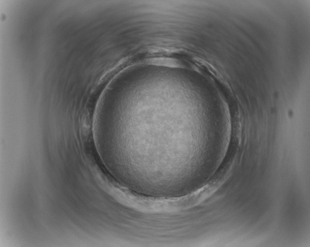 X0000084530040200702231212
