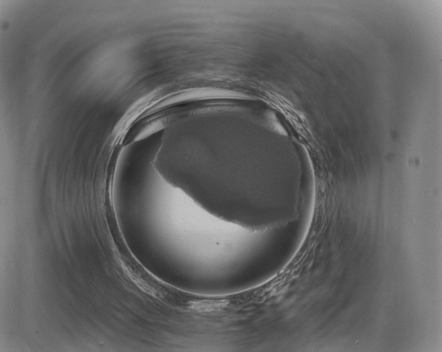 X0000084530051200702231211