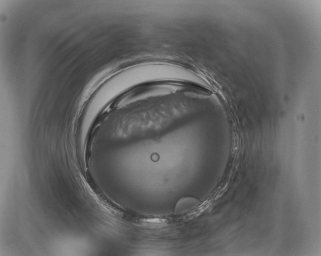 X0000084530053200702231211