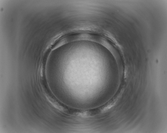 X0000084530068200702231212