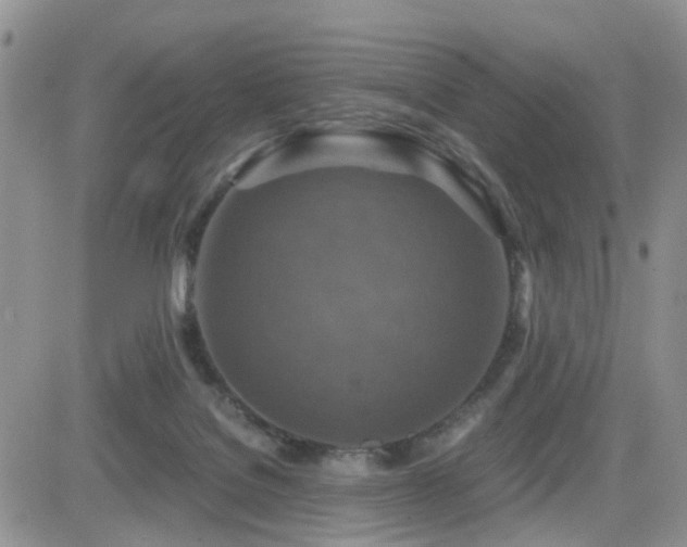 X0000084530076200702231212