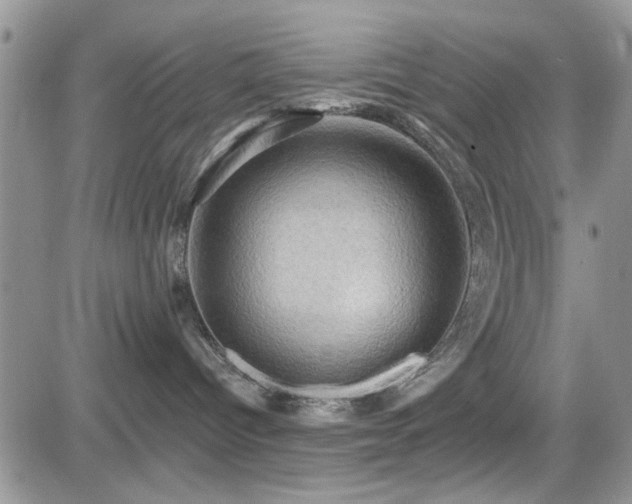 X0000084530096200702231212