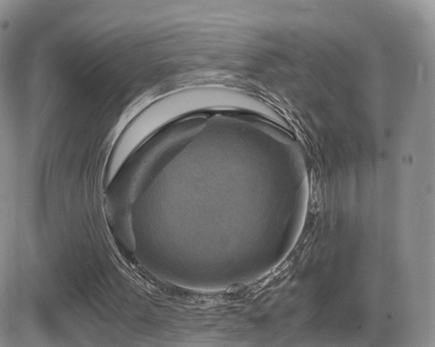 X0000084530099200702231211