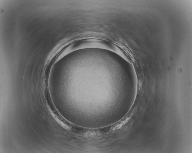 X0000084530101200702231211