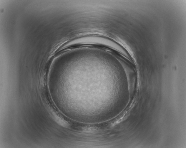 X0000084530105200702231211